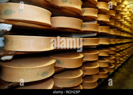 Handwerkliche Beaufort Käse in der Veredelung in einem traditionellen Weinkeller. Aime. Frankreich. Stockfoto