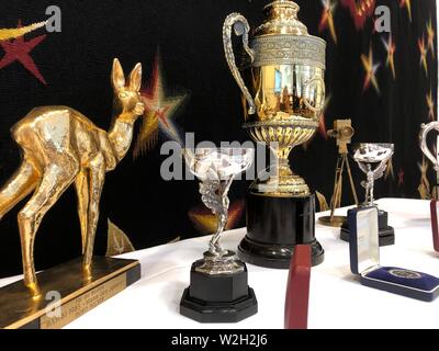 London, Großbritannien. 08 Juli, 2019. Ein Bambi, zwei Renshaw Trophäen, ein Nachbau eines Wimbledon Trophäe und die 1989 Goldene Kamera von Deutschen Sport Legende Boris Becker kann während einer online Auktion gesehen werden. Bis Donnerstag, 11. Juli 2019, Gebote können noch für die rund 80 Angebote von privaten Becker's Sammlung, darunter die Trophäen, Preise, Uhren und noch ein paar Trainings Socken eingereicht werden. Credit: Christoph Meyer/dpa/Alamy leben Nachrichten Stockfoto