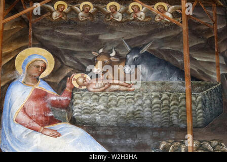 Die padua Baptisterium. Ceilling Fresken aus dem 14. Jahrhundert von Giusto de Menabuoi. Die Geburt Christi. Padua. Italien. Stockfoto