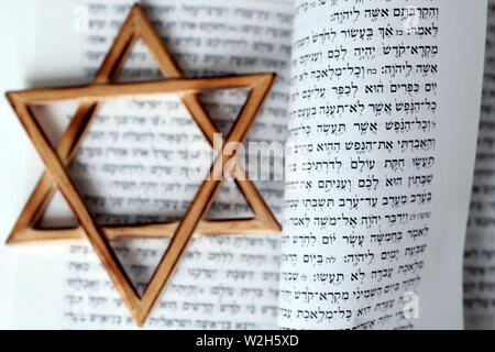 Thora und Davidstern. Zwei Symbole des Judentums. Stockfoto