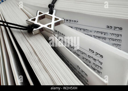 Thora und Davidstern. Zwei Symbole des Judentums. Stockfoto
