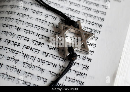 Thora und Davidstern. Zwei Symbole des Judentums. Stockfoto