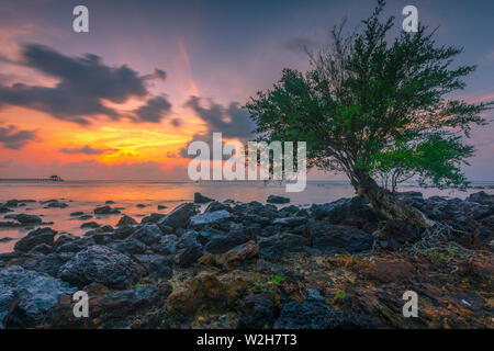 Guten Morgen Sonnenschein in die Welt Stockfoto