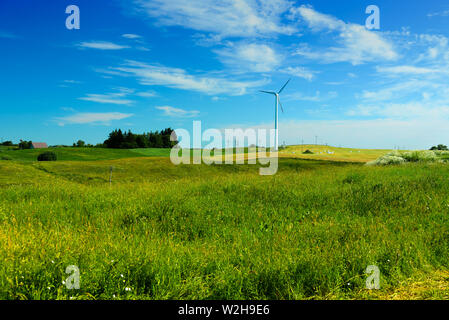 Grüne Felder mit Windkraftanlagen in Polen. Sonnigen Tag im Sommer Stockfoto