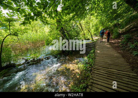 Wanderer entlang der Holzsteg, Kaskaden von Wasser in Richtung versteckte Teiche an den Nationalpark Plitvicer Seen, Kroatien hetzen Bummeln Stockfoto