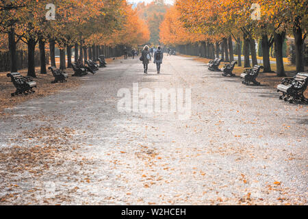 Herbst Szene, Low Angle View von Bäumen gesäumten Straße im Regent's Park in London Stockfoto