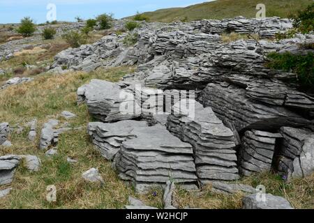 Kalkstein Pflaster grikes Ogof Ffynnon Ddu National Nature Reserve Brecon Beacons National Park Fforest Fawr UNESCO-Geopark Wales Cymru GROSSBRITANNIEN Stockfoto