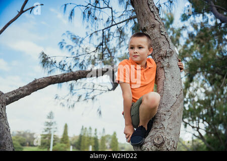Eine niedrige Abgeschossen eines jungen kaukasischen Junge klettern hoch in einen Baum, er ist legere Kleidung. Stockfoto