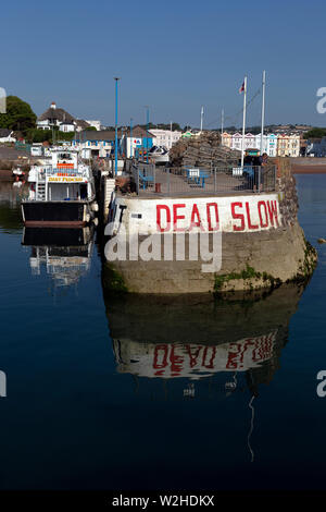 Hafen von Paignton Devon, nautische Schiff, Sport Rennen, Erwachsener, Wassersport, Athlet, Herausforderung, Wettbewerb, Koordinierung, Crew, Devon, Wahrnehmung, Stockfoto