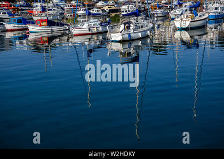 Hafen von Paignton Devon, nautische Schiff, Sport Rennen, Erwachsener, Wassersport, Athlet, Herausforderung, Wettbewerb, Koordinierung, Crew, Devon, Anstrengung, Stockfoto