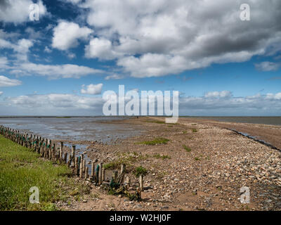 Wattenmeer Straße auf der Insel - Stadtwanderung - Westjütland - Weihnachten - Storch in Dänemark Stockfoto