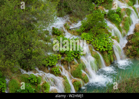 Hetzen, reines, frisches Wasser ergiesst sich die natürliche Hindernisse in den türkisfarbenen See Kaluđerovac im Nationalpark Plitvicer Seen in Kroatien Stockfoto