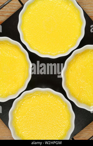 Crème brûlée vor karamelisierung - Pudding Förmchen gelb Creme aus Porzellan Stockfoto