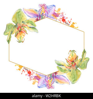 Orchidee Blumen botanischen Blumen. Wild Federblatt wildflower isoliert. Aquarell Hintergrund Abbildung. Aquarell Zeichnung mode Aquarelle. Stockfoto