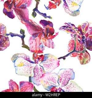 Orchidee Blumen botanischen Blumen. Wild Federblatt wildflower. Aquarell Abbildung. Aquarell Zeichnung mode Aquarelle. Nahtlose Hintergrund Stockfoto