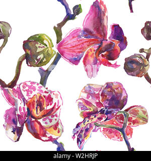 Orchidee Blumen botanischen Blumen. Wild Federblatt wildflower. Aquarell Abbildung. Aquarell Zeichnung mode Aquarelle. Nahtlose Hintergrund Stockfoto