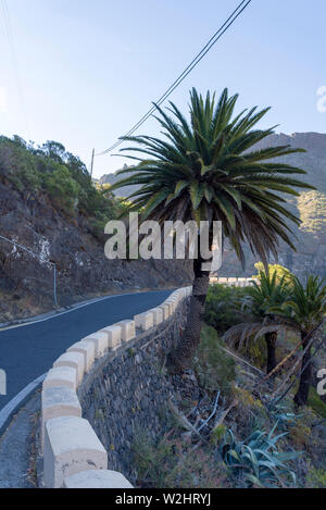 Geschlossen Metall, braunen Tür in einem Wohnhaus. Altes Haus auf der Insel Teneriffa. Stockfoto