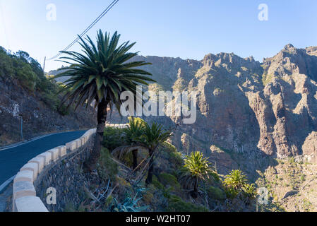 Geschlossen Metall, braunen Tür in einem Wohnhaus. Altes Haus auf der Insel Teneriffa. Stockfoto