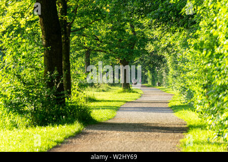 Bild von einem wunderschönen Park mit Pfad und grüne Bäume an einem sonnigen Sommertag Stockfoto