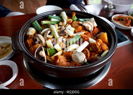 Es ist hühnereintopf, Koreanisches Essen. Stockfoto