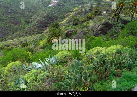 Atemberaubende Schlucht Maska. Faszinierende Aussicht vom View Point im Dorf Maska. Die riesigen Felsen und Schlucht mit einem malerischen Dorf - Bild Stockfoto