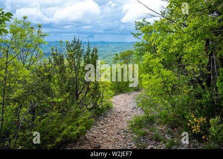 Klettergebiet. Kletterwand. Vela draga, Kroatien. Vertikale Berge im Wald Mitte. Klettern Region. Stockfoto