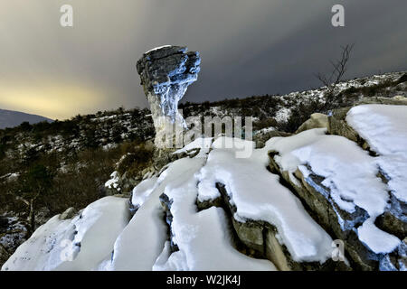 Die albaredo Pilz: charakteristischen felsigen Konformation durch Selektive Erosion erstellt. Trient Provinz Trentino Alto-Adige, Italien, Europa. Stockfoto