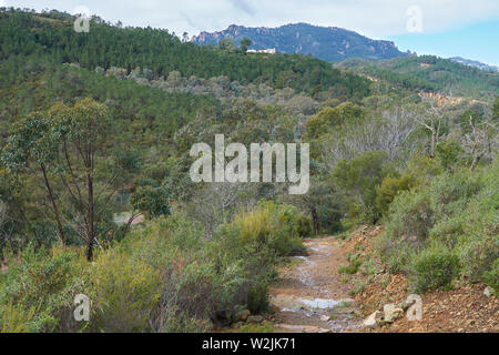 Frühling Landschaft in Domaine de Maure-Vieil, Mandelieu-La Napoule, Côte d'Azur, Frankreich Stockfoto