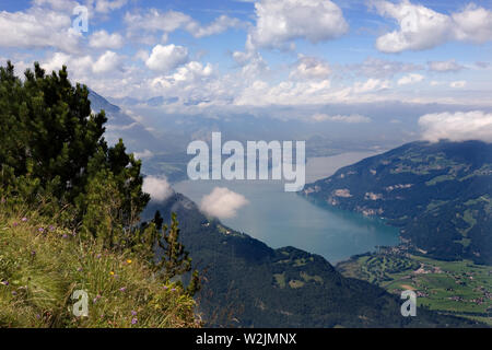 Thunersee (Thuner See) in der Entfernung, aus der Panoramaweg rund um die Höhen der Schynige Platte, Berner Oberland, Schweiz Stockfoto