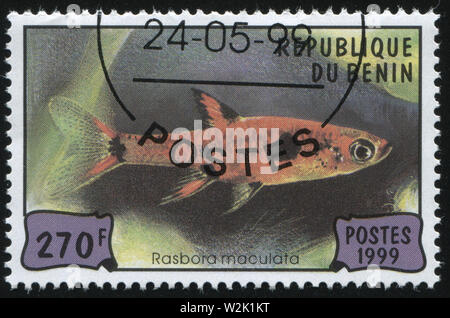 Russland KALININGRAD, 27. MÄRZ 2019: Briefmarke von Benin gedruckt zeigt Fische unter Wasser, ca. 1999 Stockfoto