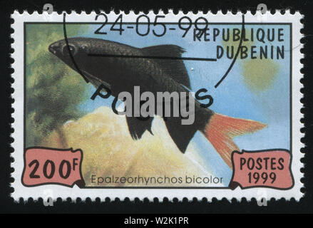Russland KALININGRAD, 27. MÄRZ 2019: Briefmarke von Benin gedruckt zeigt Fische unter Wasser, ca. 1999 Stockfoto