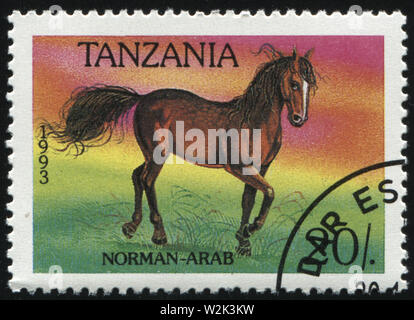 Russland KALININGRAD, 26. MÄRZ 2019: Briefmarke von Tansania zeigt Pferd gedruckt, ca. 1993 Stockfoto