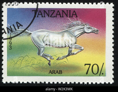 Russland KALININGRAD, 26. MÄRZ 2019: Briefmarke von Tansania zeigt Pferd gedruckt, ca. 1993 Stockfoto