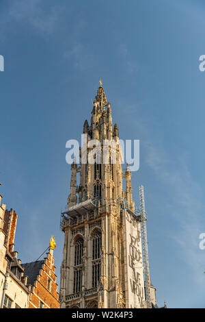 Kathedrale Notre Dame Fassade unter Renovierung im Grand Marktplatz, Antwerpen, Belgien Stockfoto