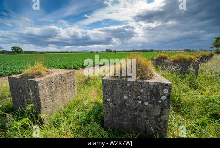 Ansicht des Zweiten Welt Krieges anti-tank Blöcke Hedderwick in Dunbar in East Lothian, Schottland, Großbritannien Stockfoto