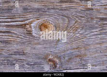 Abstrakte Rustikale Nahaufnahme der Holztafel in der Scheune, die mit natürlich blassem Farbton bemalt ist. Einzelnes horizontales Stück mit Holzlinien mit zentraler Knotentextur Stockfoto