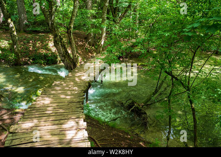 Holzsteg über einen kleinen Bach tief im Wald im Nationalpark Plitvicer Seen, Kroatien führenden Stockfoto