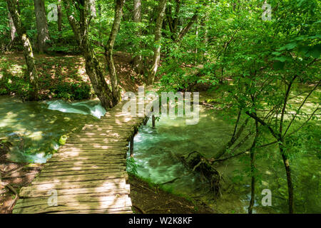 Holzsteg über einen kleinen Bach tief im Wald im Nationalpark Plitvicer Seen, Kroatien führenden Stockfoto