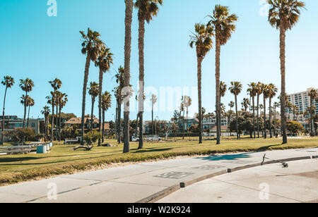 Palmen am Strand von Santa Monica. Vintage Travel, Sommer, Urlaub und tropischen Strand Konzept. Stockfoto