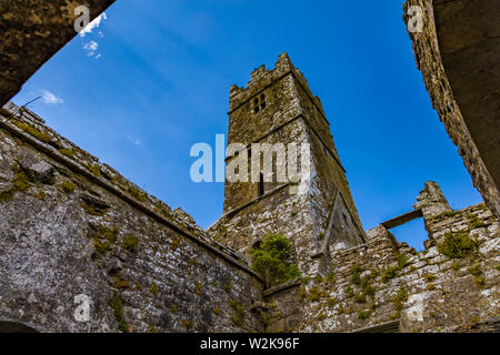 Ruinen von Ross Errilly Kloster in Headford Co.Galway gegründet 1351 AD eine der schönsten mittelalterlichen franziskanischen Klöster in Irland Stockfoto