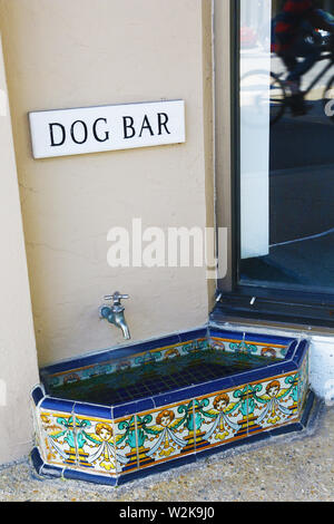 Elegante trinken Trog für Hunde in Palm Beach Stockfoto