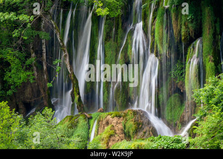 Kristallklares, reines Wasser, ausgegossen bemoosten Felsen in einem wunderschönen azurblauen See im Nationalpark Plitvicer Seen Plitvicer Seen, Kroatien Stockfoto