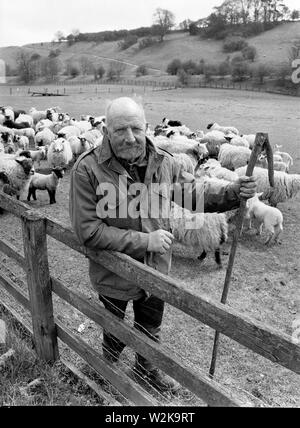 Yorkshire Hirte und seine Schafe in der Herde bei thixendale Ryedale Viertel von North Yorkshire, England. Stockfoto