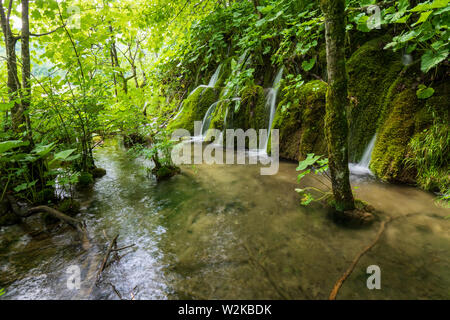Kleine Kaskaden von frischem Wasser, ausgegossen bemoosten Felsen an der Nationalpark Plitvicer Seen in Kroatien Stockfoto
