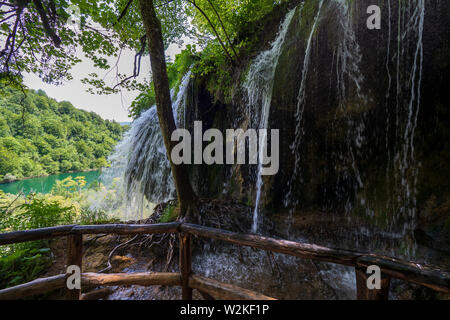 Malerischer Blick auf reines, frisches Wasser hetzen, ein Felsen aus den Wurzeln eines Baumes im Nationalpark Plitvicer Seen in Kroatien Stockfoto