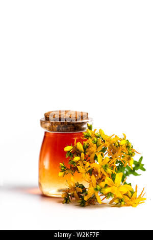 Calendula Pot marigold Pflanzliche ätherische Öl und Blumen isoliert auf weißem Stockfoto