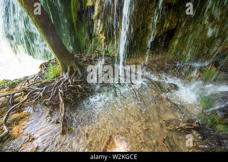 Wasser, ausgegossen Rock aus den Wurzeln eines Baumes und eine Höhle hinter dem Wasserfall im Nationalpark Plitvicer Seen in Kroatien Stockfoto