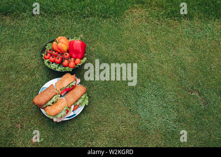 Sandwiches und Gemüse auf dem Gras. Top Aussicht auf zwei Teller mit frischem Schöne eco Gemüse Stockfoto