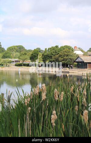 Enthusiasten segeln Funkgesteuerte Modell Boote aus Barrow-In-Furness Town Park, Cumbria GROSSBRITANNIEN. Stockfoto