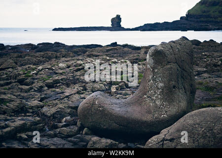 Ein grosser Felsen namens Giant's Boot sitzt auf den Ufern an der Giant's Causeway, Nordirland Stockfoto